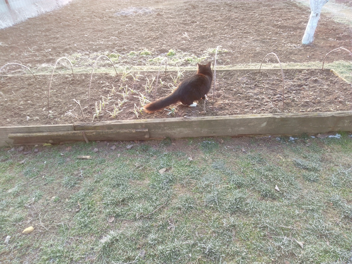 Было ж время!