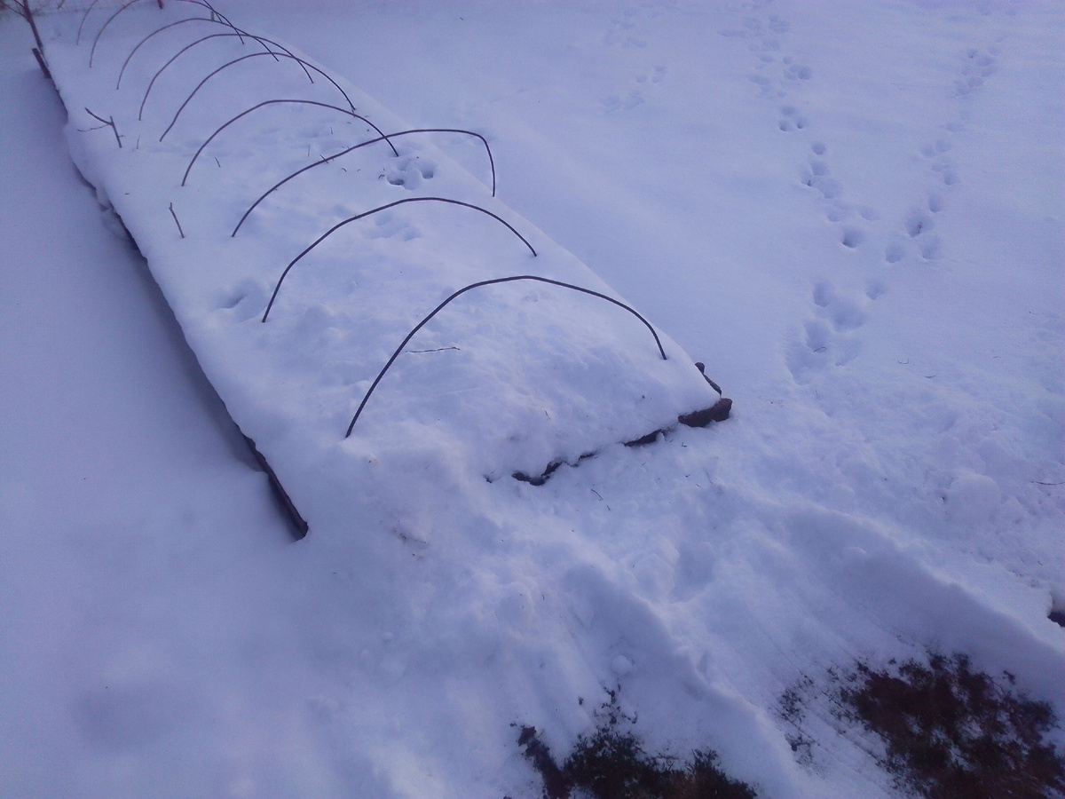 Снегом завалили❄❄❄❄