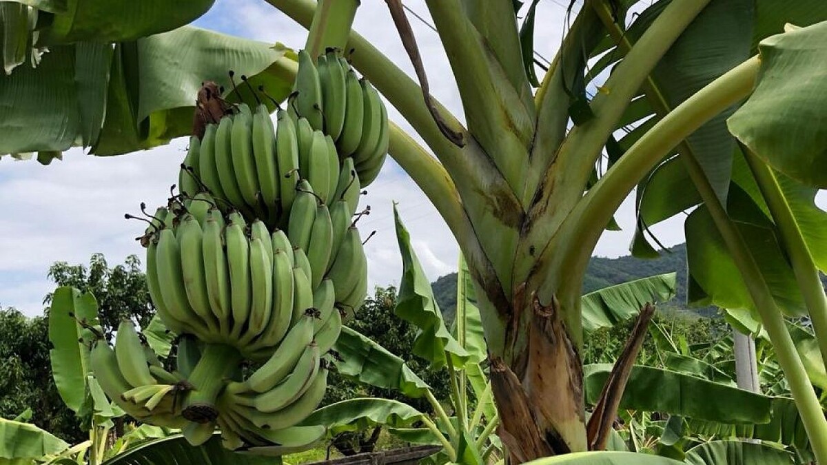    Фото: Вероника Новокрещеннова