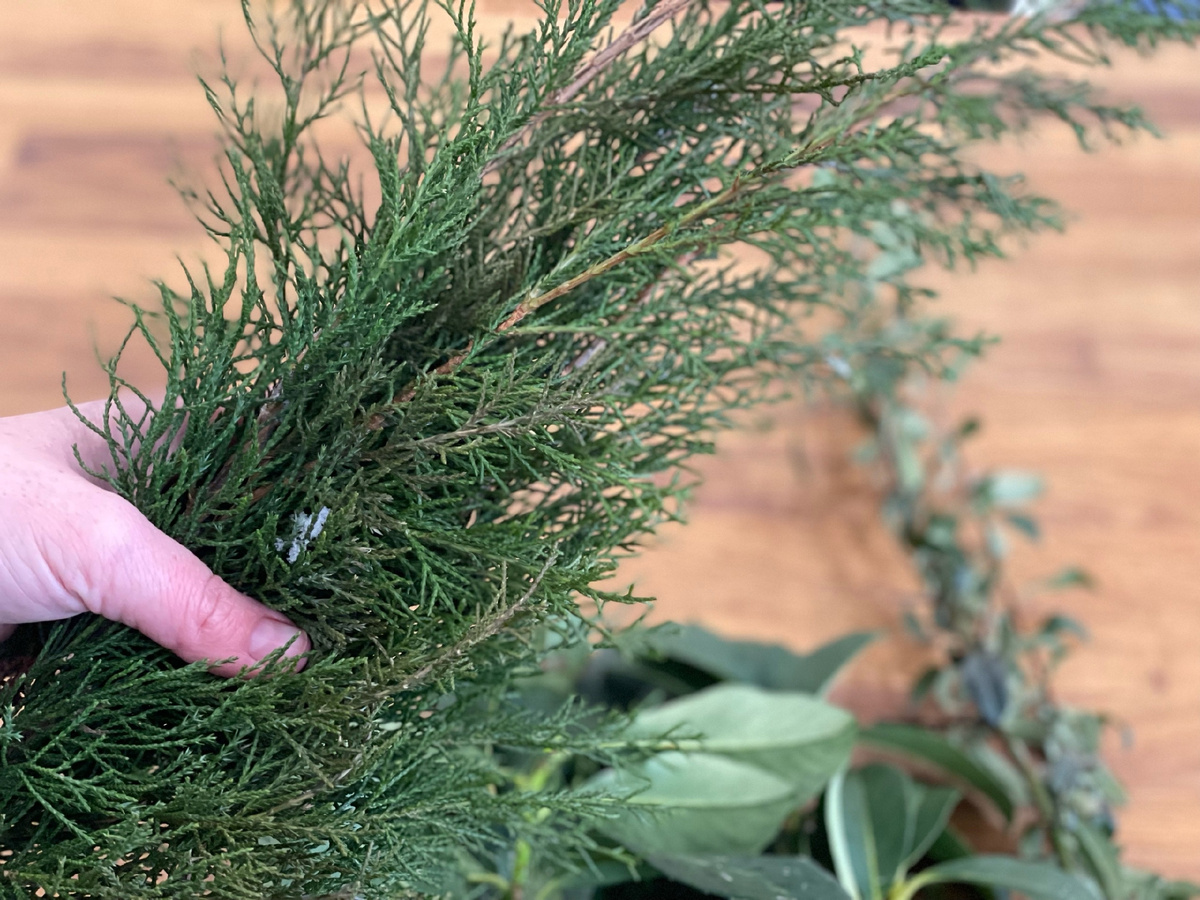 Автор Елена Якимова / Greenfingers