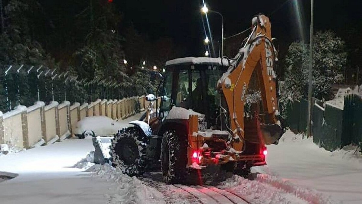    Фото: t.me/agproshunin