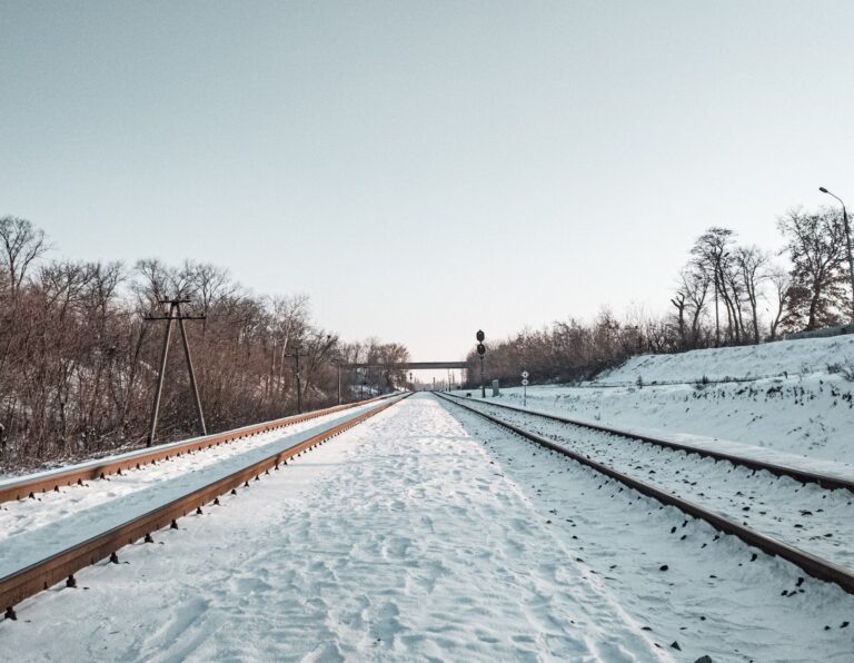    Фото: unsplash.com/Kyryl Levenets Илья Федоров