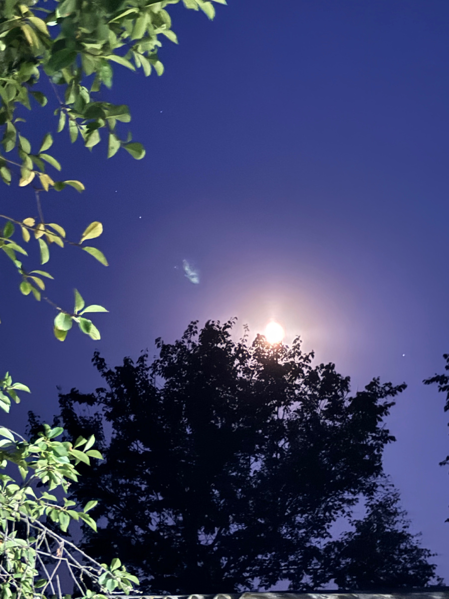 Летняя луна. Вид со двора