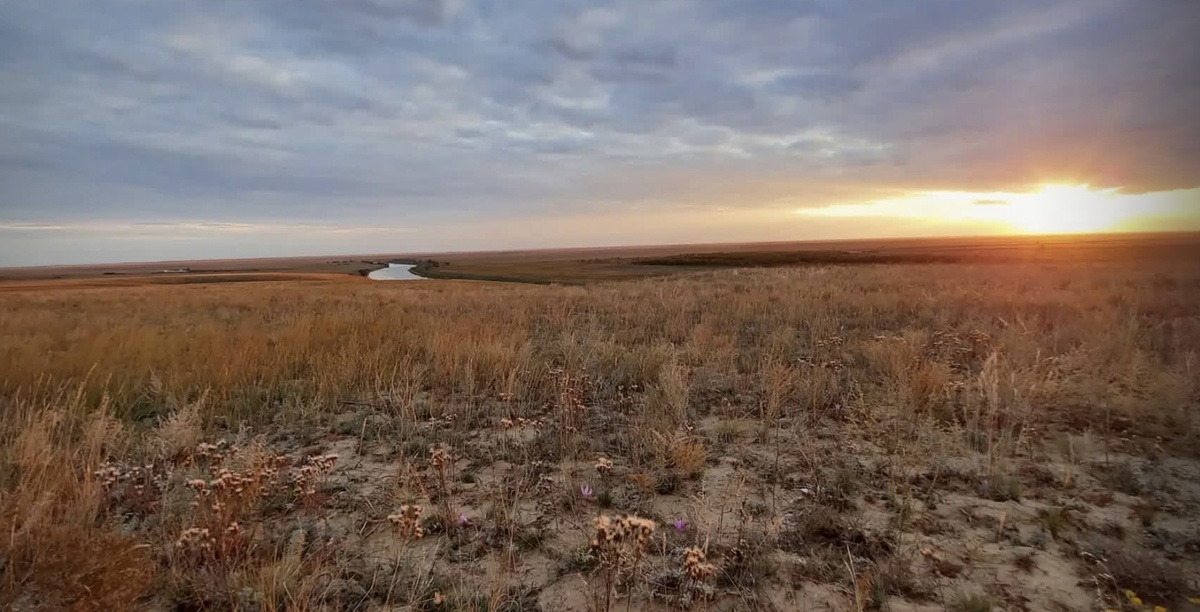 Малая родина