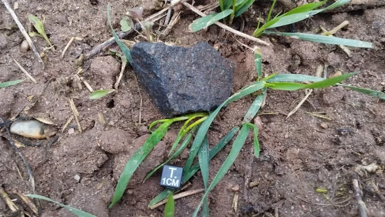 На белорусском поле фрагменты метеорита напоминали печеную картошку
Фото предоставлено УрФУ