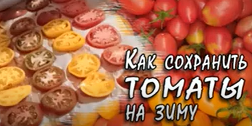 Как сохранить помидоры.