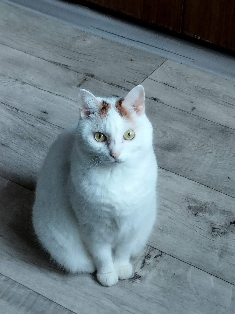 Бусинка из Луганска