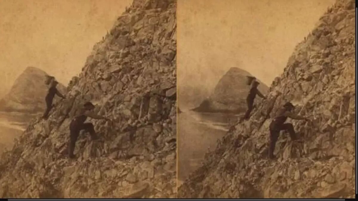 Сборщики яиц на Фароллоновых островах рисковали жизнью. Фото: New York Public Library