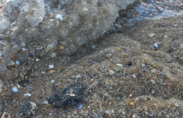    оперативный штаб Краснодарского края