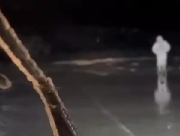 Фото: Ростовская областная поисково-спасательная служба во внутренних водах и территориальном море