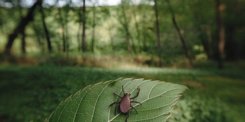    сгенерировано нейросетью по запросы Metro