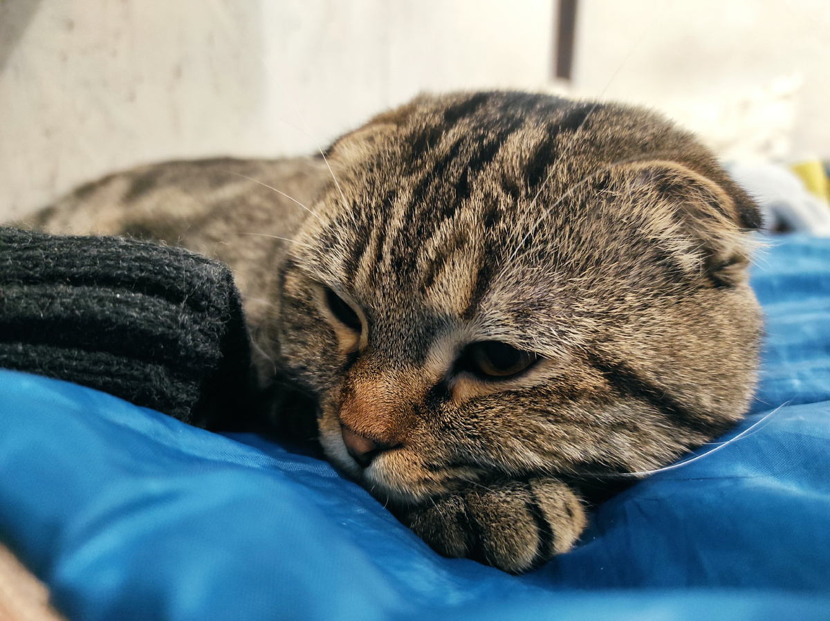 «Много не мало!» – девиз Феди.