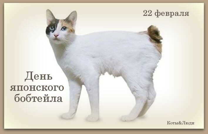 Коллаж автора