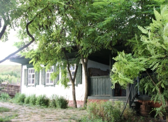 Иллюстрация фотобанка Ростовского отделения СЖР