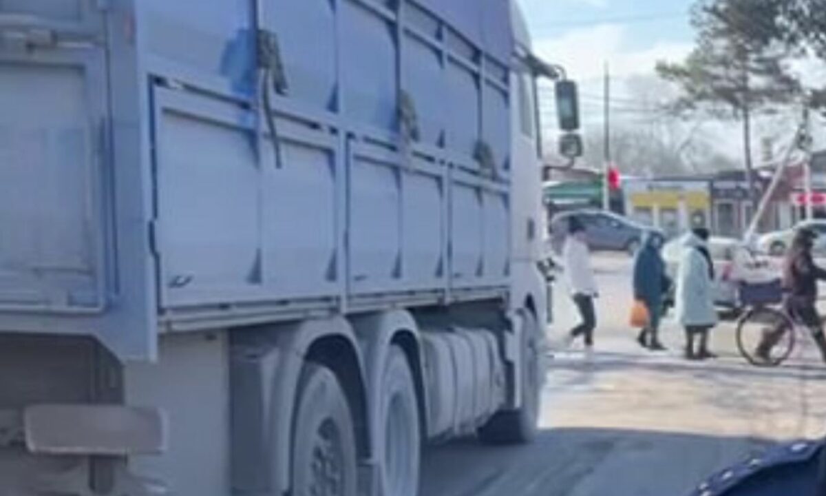    Скриншот видео t.me/gibdd123region