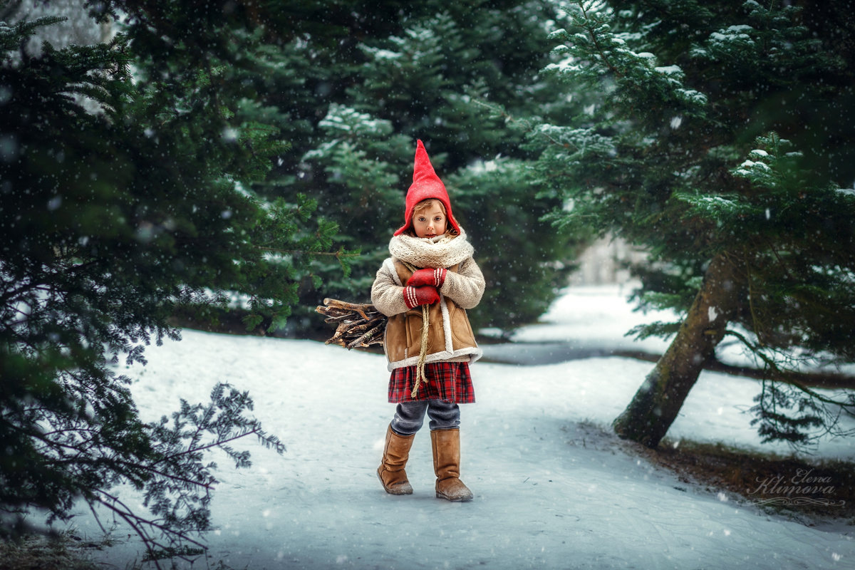 Дети гномов