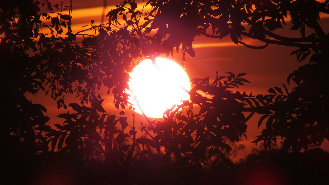    Victor Lisitsyn/Global Look Press/Globallookpress