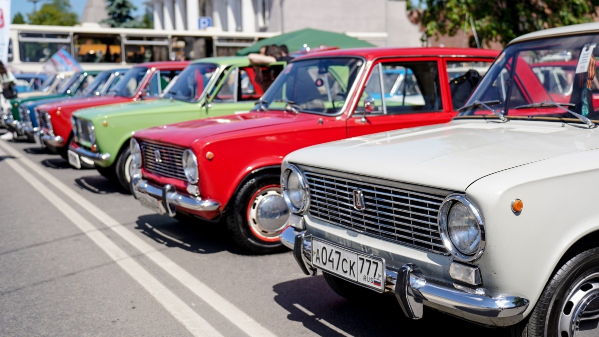 Светлана Мулыкина📷
