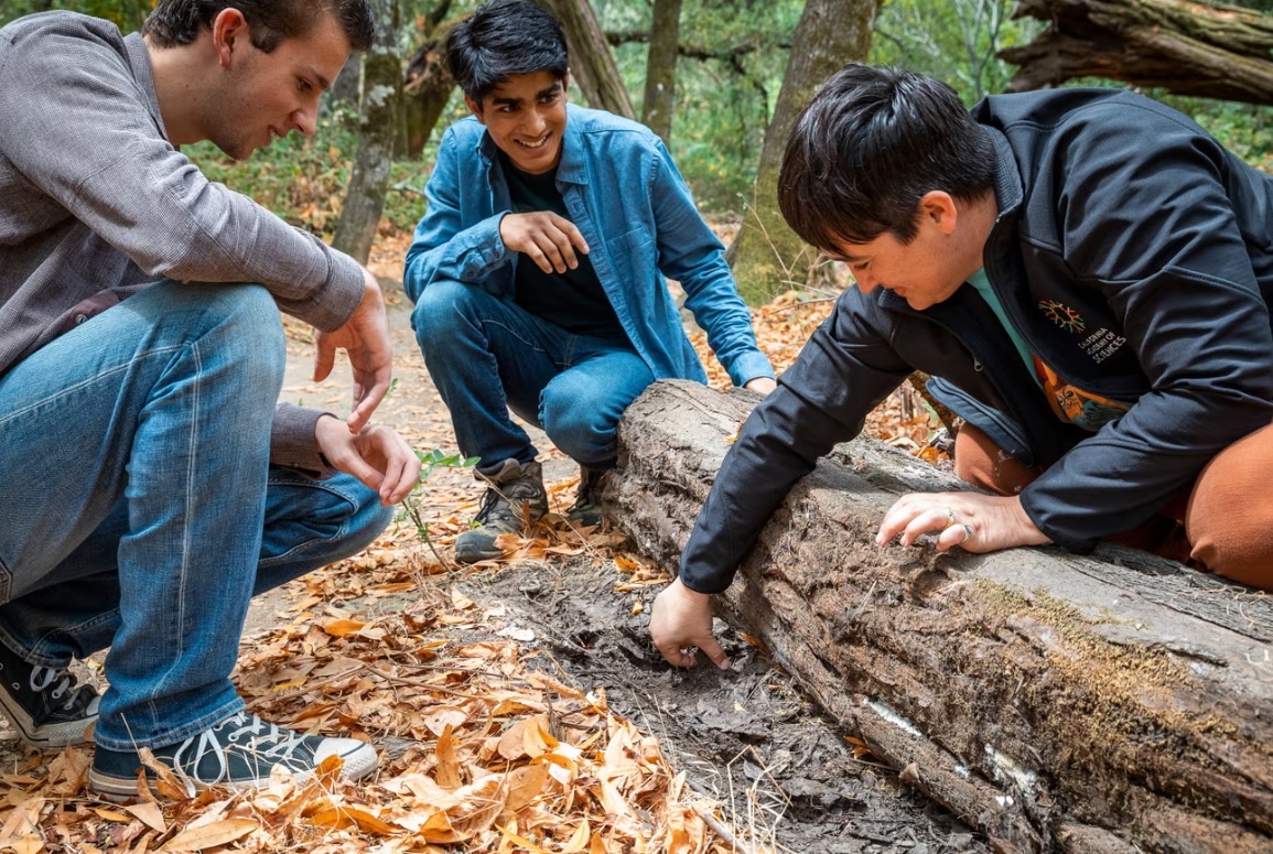 Харпер Форбс и Пракрит Джайн с восхищением наблюдают, как Лорен Эспозито щупает Землю подле бревна. Фото: Gayle Laird / California Academy of Sciences.