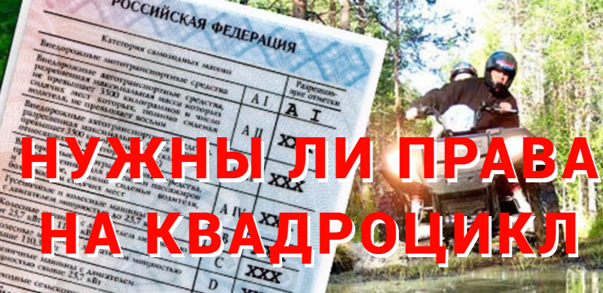фото источник интернет
