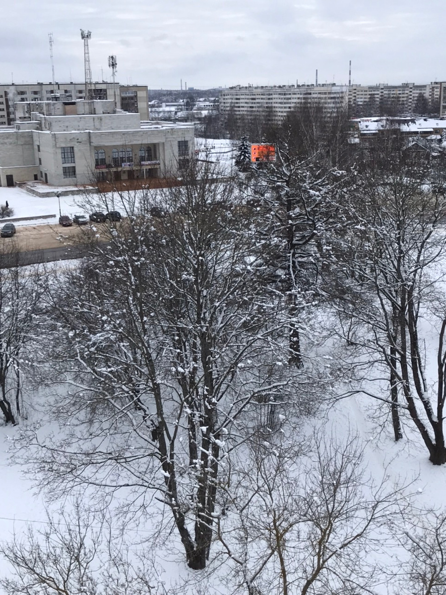 Однако малова-то снежку на ветках, но есть, и это радует. 