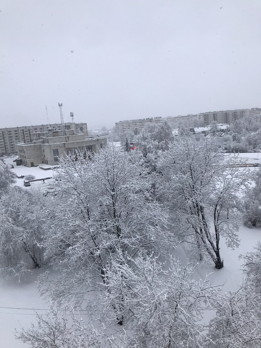 Зимний день 3 февраля 2025 года, Ленинградская область. После сречи зимы ( Богини Марены) с весной ( богиней Лёлей).