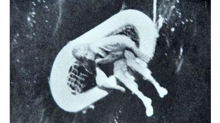 источник: pinterest.com