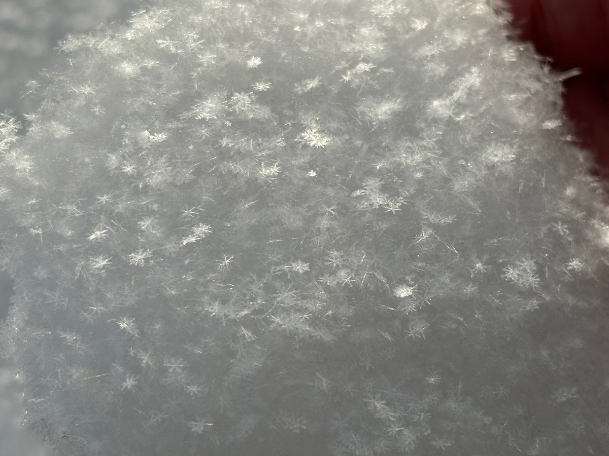 Вот такой снег падал у нас на этой неделе: снежинки видны невооружённым глазом. Автор фото - моя дочь.