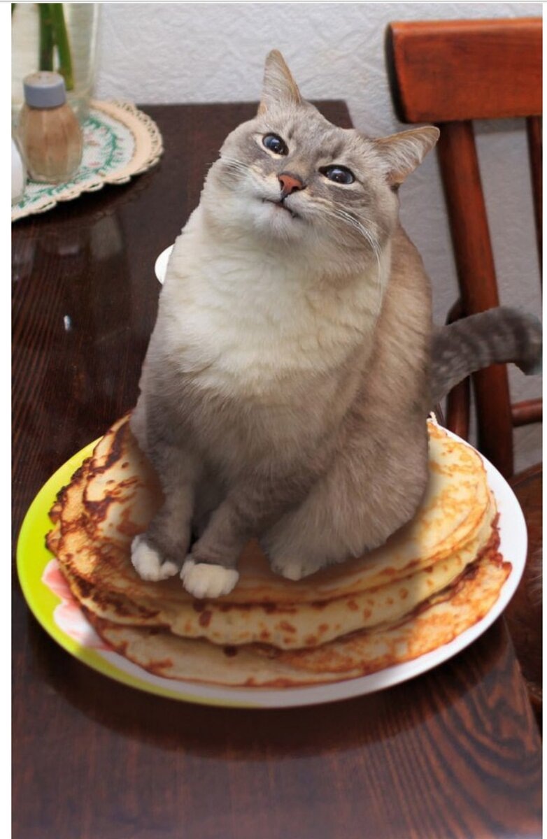 Изображение из открытых источников