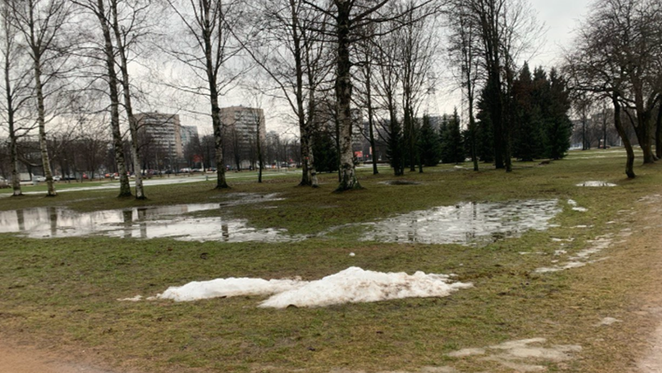    Парк Сахарова, зона вырубки под благоустройство Автор фото: vk.com/parksaharova