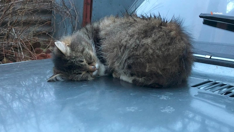      Фото: Татьяна Климова / / ИА «Победа26»