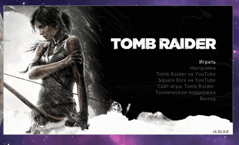 Tomb Raider(-)