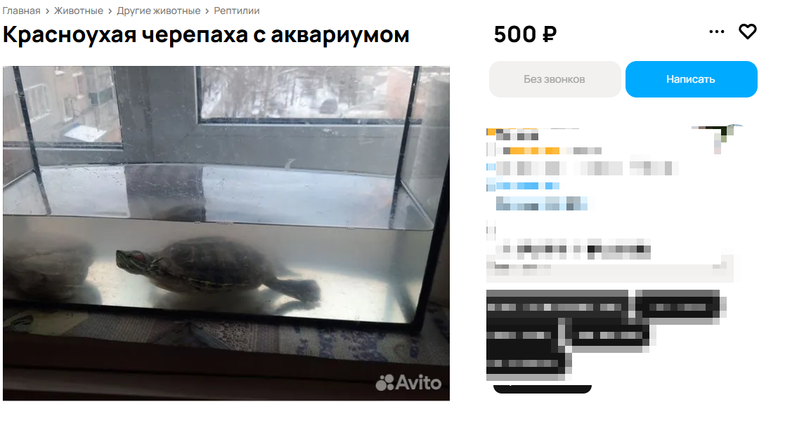 А еще она стоит на подоконике у окна:( 