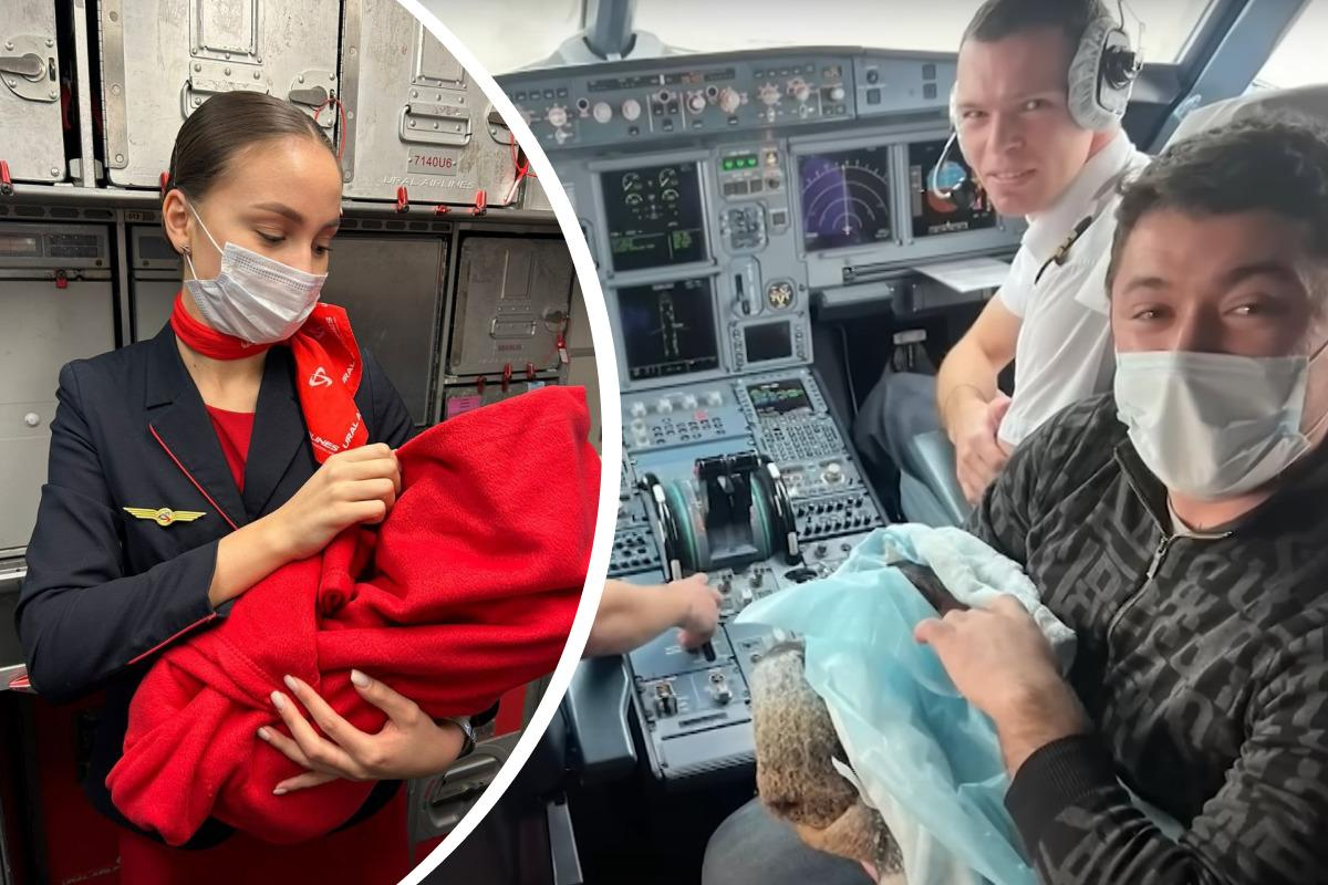 Фото из Яндекса. Спасибо автору. 