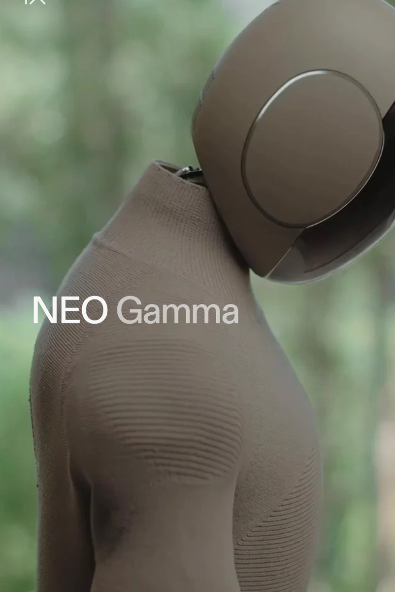 Фото с сайта https://www.1x.tech/neo