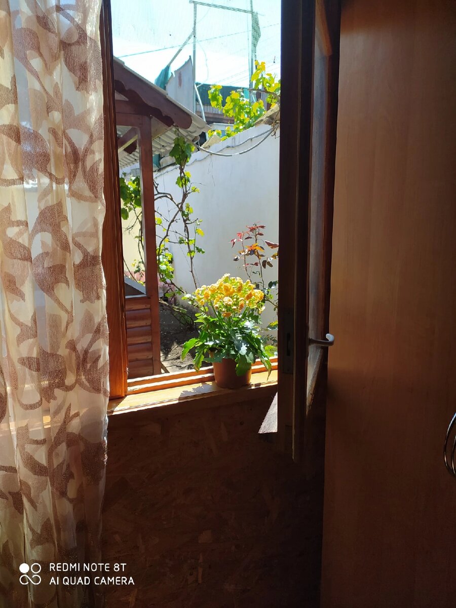 Вид из моего окна