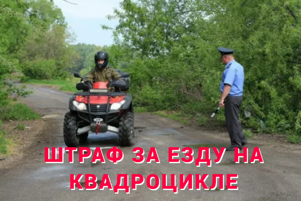 фото источник интернет