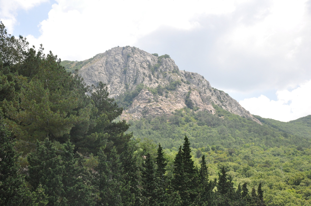 Природа Крыма 