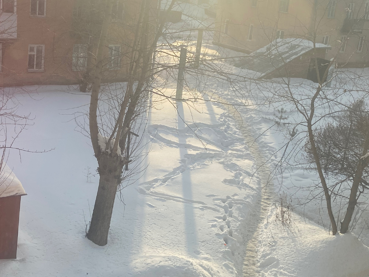 Кто-то ♥️вытоптал