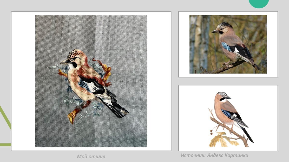 Сойка - первая вышитая птица. Или нет?