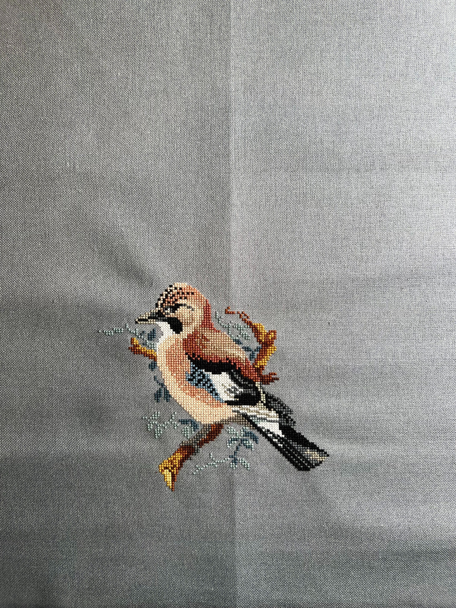 Отшив сойки поближе