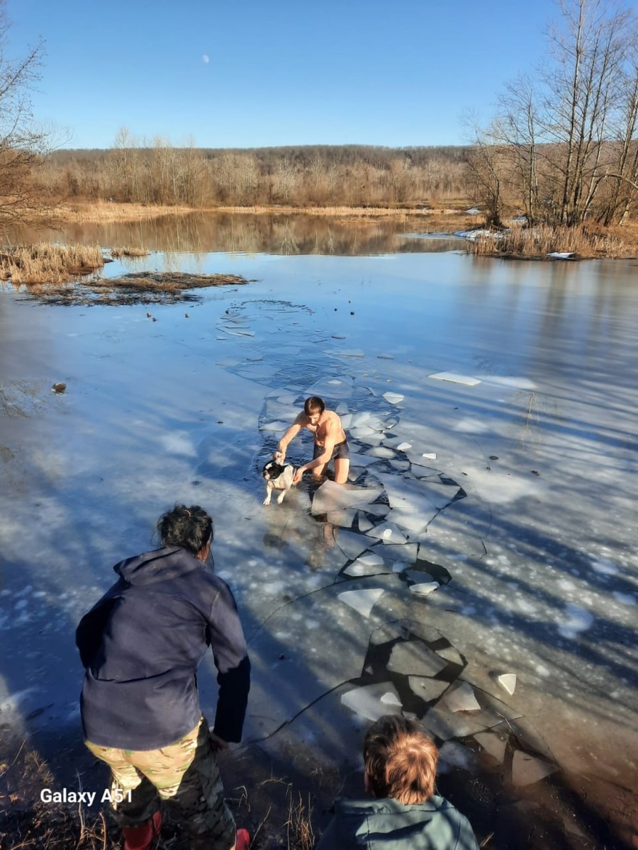 Фото: Апшеронский рабочий / Telegram