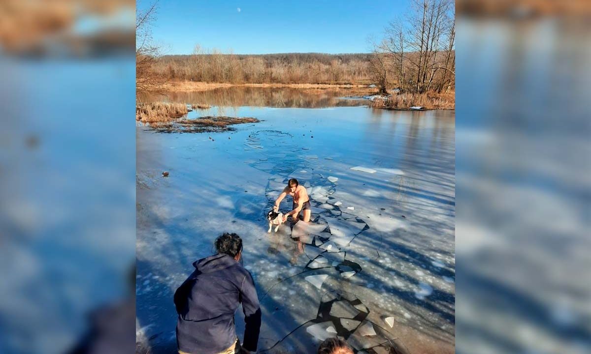    Фото t.me/apsmiru