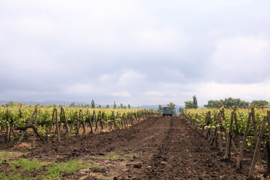    Фото: admkrai.krasnodar