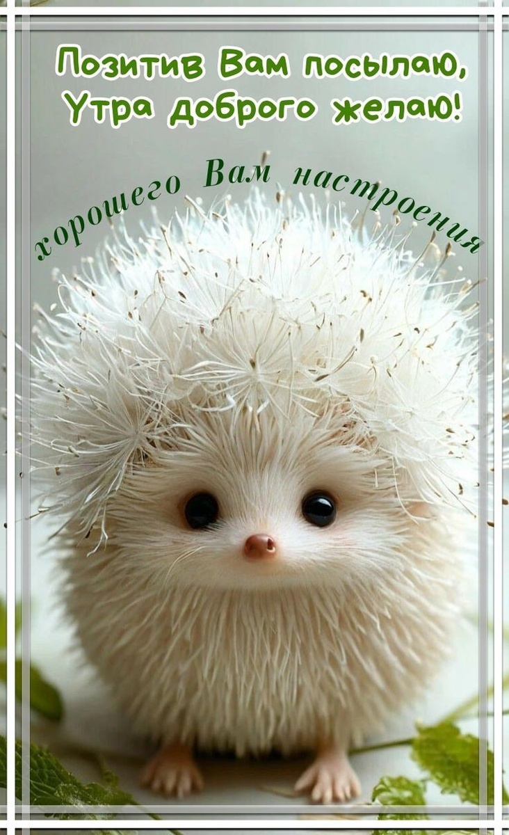 Фото из Pinterest.