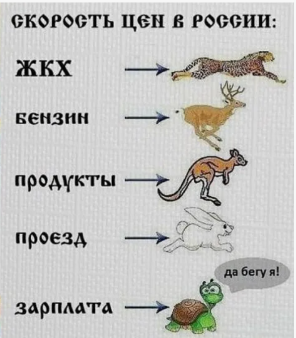 Изображение взято в качестве иллюстрации из открытых источников