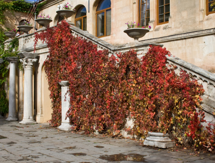 Византийский дворик