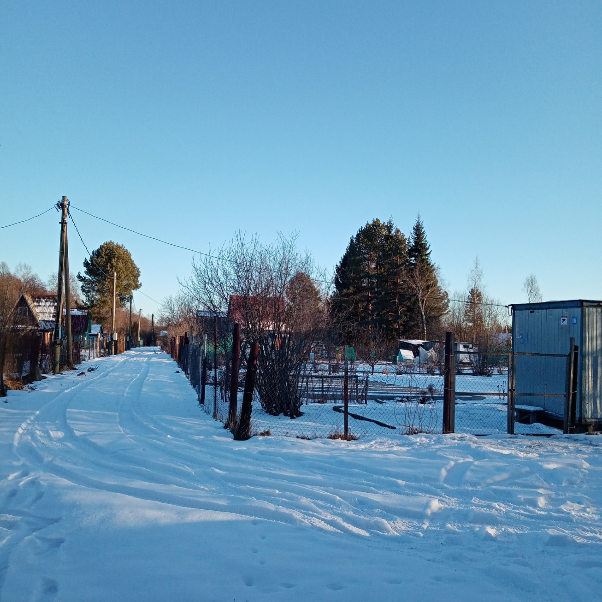 Наша дачная улица... 