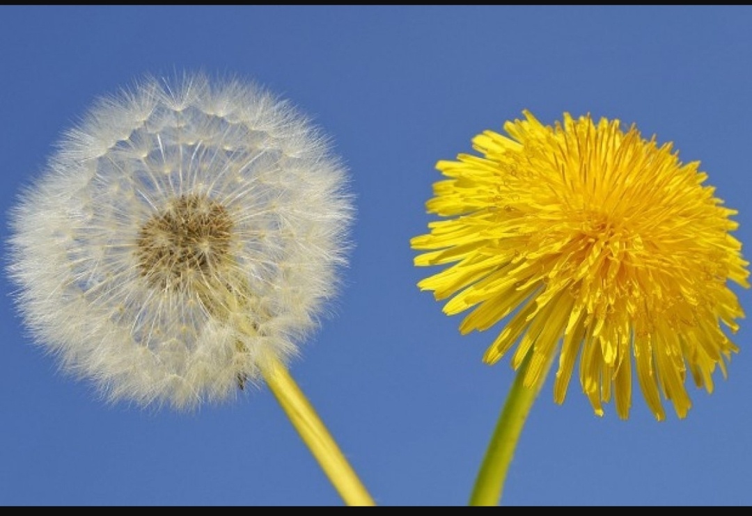 Картинка из интернета 