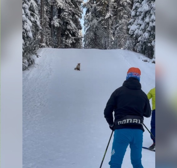 Фото: скриншот видео из социальных сетей Ирины Казакевич